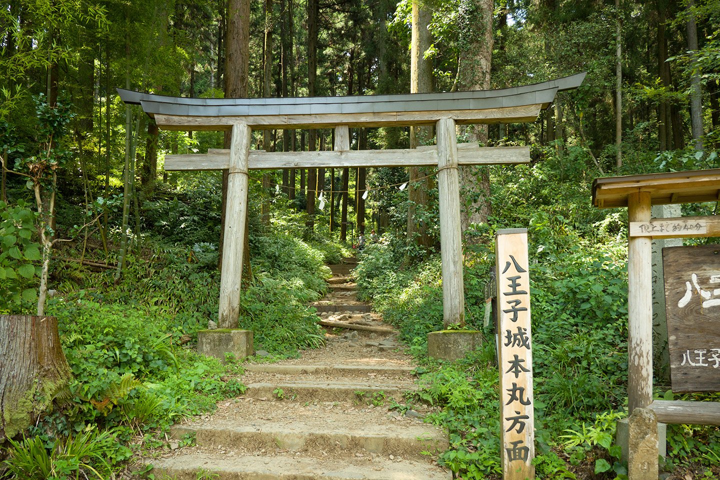 🏯 하치오지 성터 (八王子城跡) 이미지 10